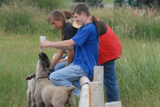Teens feeding lambs at Vista Verde Ranch Teens feeding lambs at Vista Verde Ranch