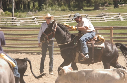 Fall Cattle Gather, Vista Verde Ranch Fall Cattle Gather, Vista Verde Ranch