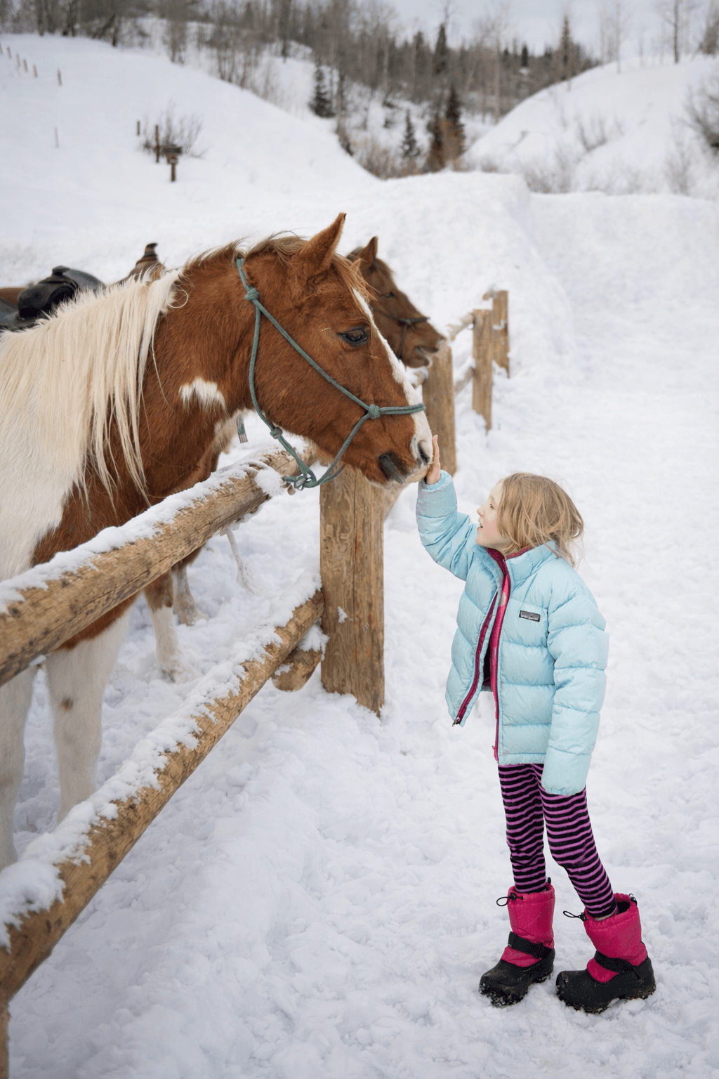 Little Buckaroo and horse embrace