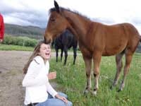 Make a Reservation Vista Verde Ranch in Colorado