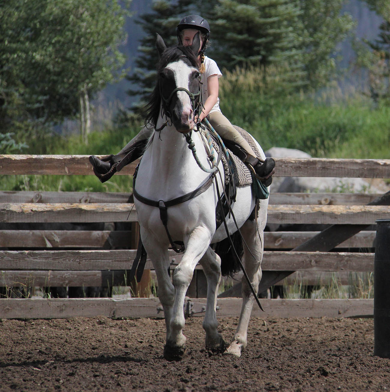 Vacation with Kids Horses Colorado Ranch Vacation Vacation with Kids Horses Colorado Ranch Vacation