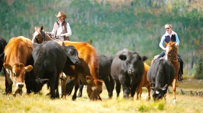 Welcome to Vista Verde Ranch in Colorado Vacation