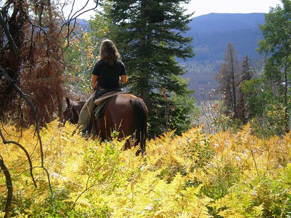 Autumn Vacation Fall Foliage Mountain Colorado Guest Ranch Vista Verde Aspens Autumn Vacation Fall Foliage Mountain Colorado Guest Ranch Vista Verde Aspens