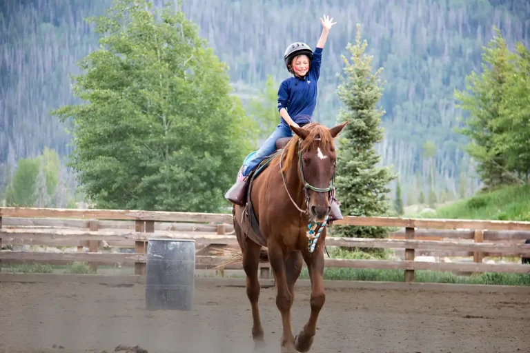 Outdoor Riding Area Horse Colorado Vacation