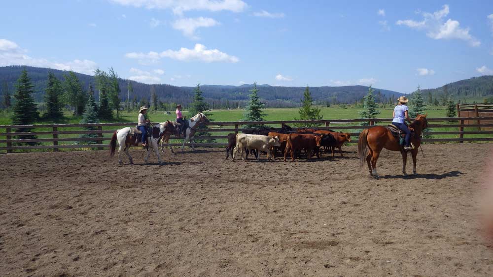 Outdoor arena horses Vista Verde Guest Ranch Colorado