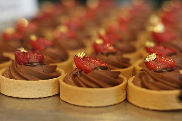 Luxury Horse Colorado Vacation Romance Vista Verde Ranch