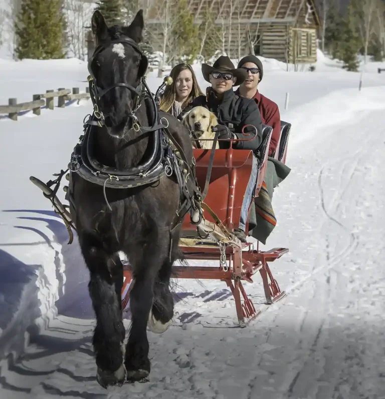 Snow Vacation Sleigh Rides Horses Vista Verde Ranch, Luxury Resort, Holidays