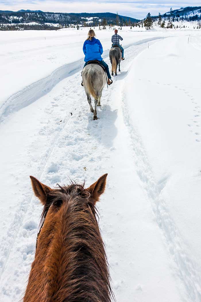 Contact a Colorado Guest Ranch, Vista Verde Ranch Contact a Colorado Guest Ranch, Vista Verde Ranch