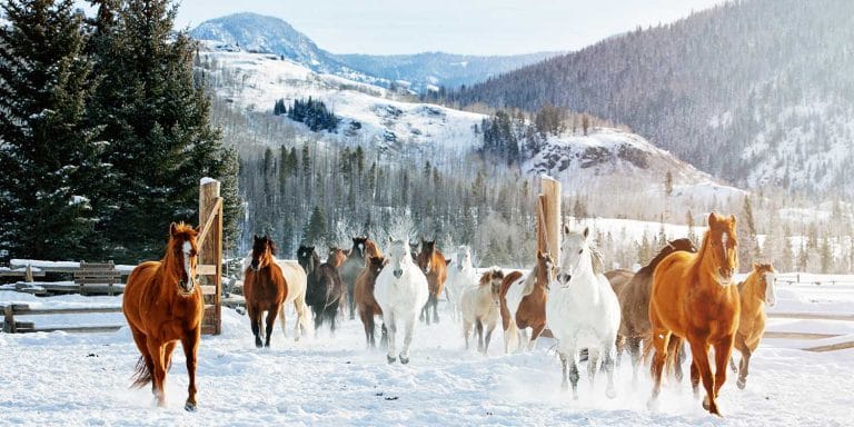 Vista Verder Luxury Guest Ranch Colorado Winter Vacation