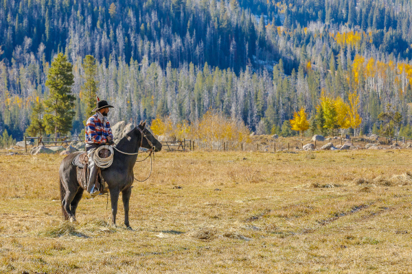 riding a horse on vacation in Colorado in October