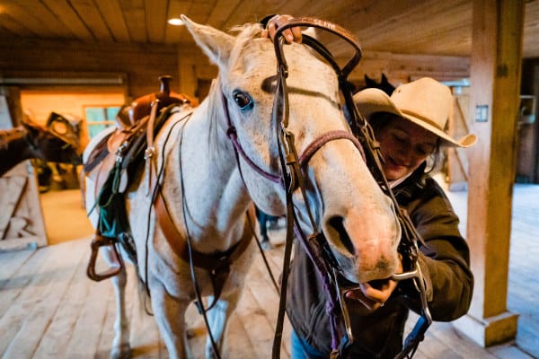dude ranch wrangler bridling a horse