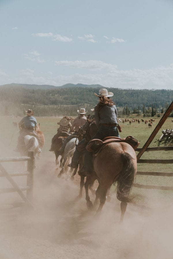 horses running at a Colorado guest ranch