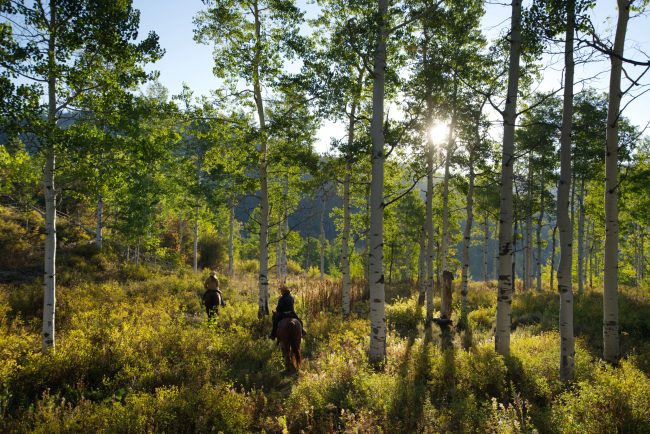 2021-VVR-Jason-Loeb-62 – Copy