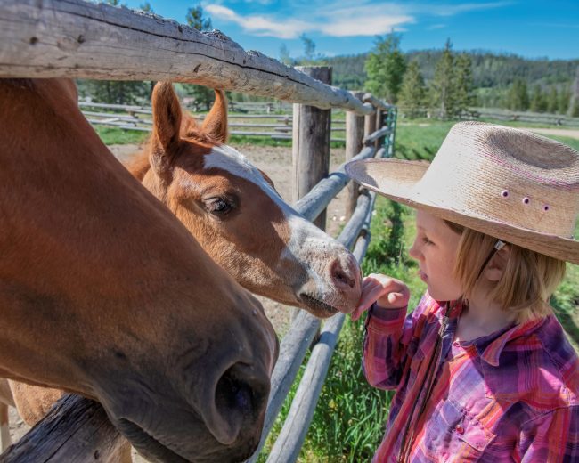 Childrens Program at Vista Verde Ranch Vacation