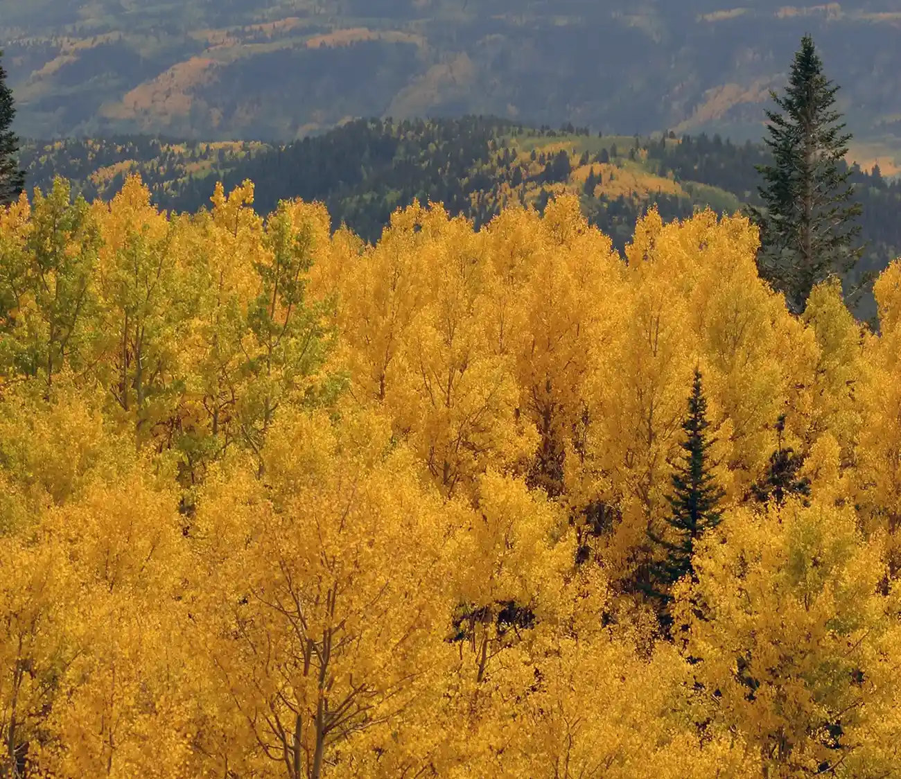 All Inclusive Colorado Vacation Autumn Fall Colors Colorado All Inclusive Colorado Vacation Autumn Fall Colors Colorado