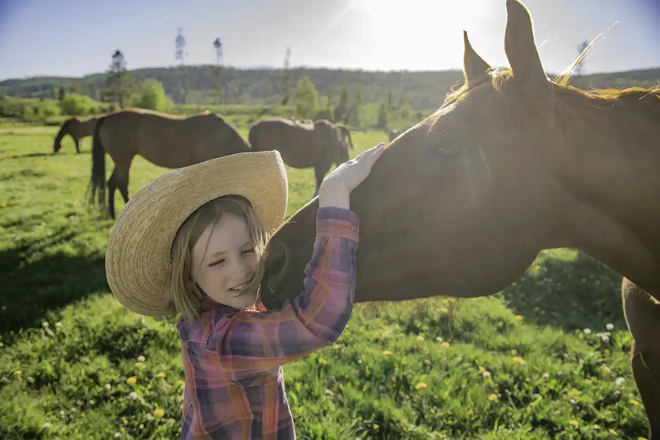 Colorado Dude Ranch Springs Short Stays Vista Verde Colorado Dude Ranch Springs Short Stays Vista Verde