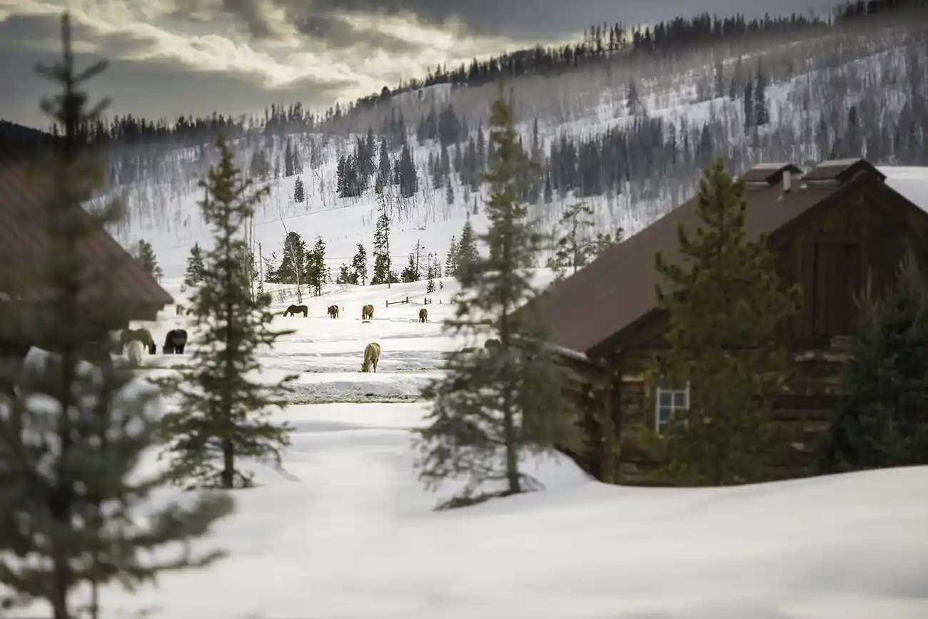 Luxury Log Cabins Vacation Ranch Colorado Luxury Log Cabins Vacation Ranch Colorado