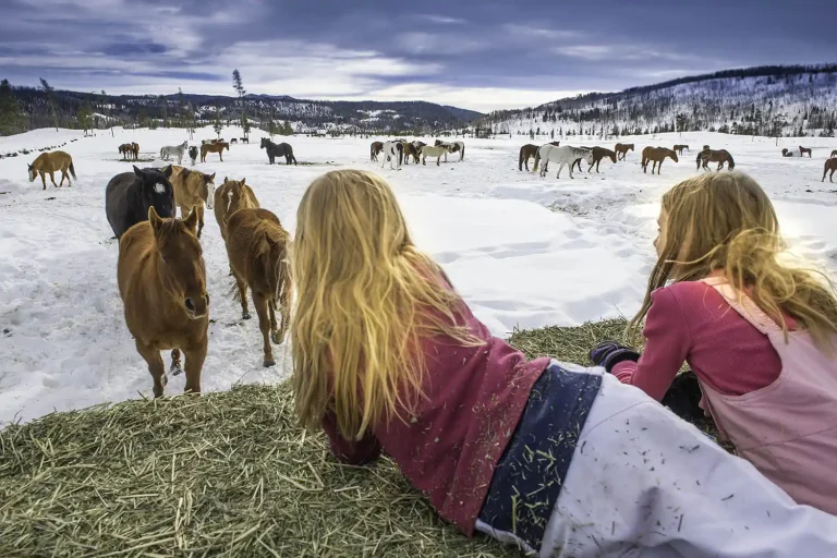 Spring Break Colorado Vacation Resort Ranch Vista Verde Spring Break Colorado Vacation Resort Ranch Vista Verde