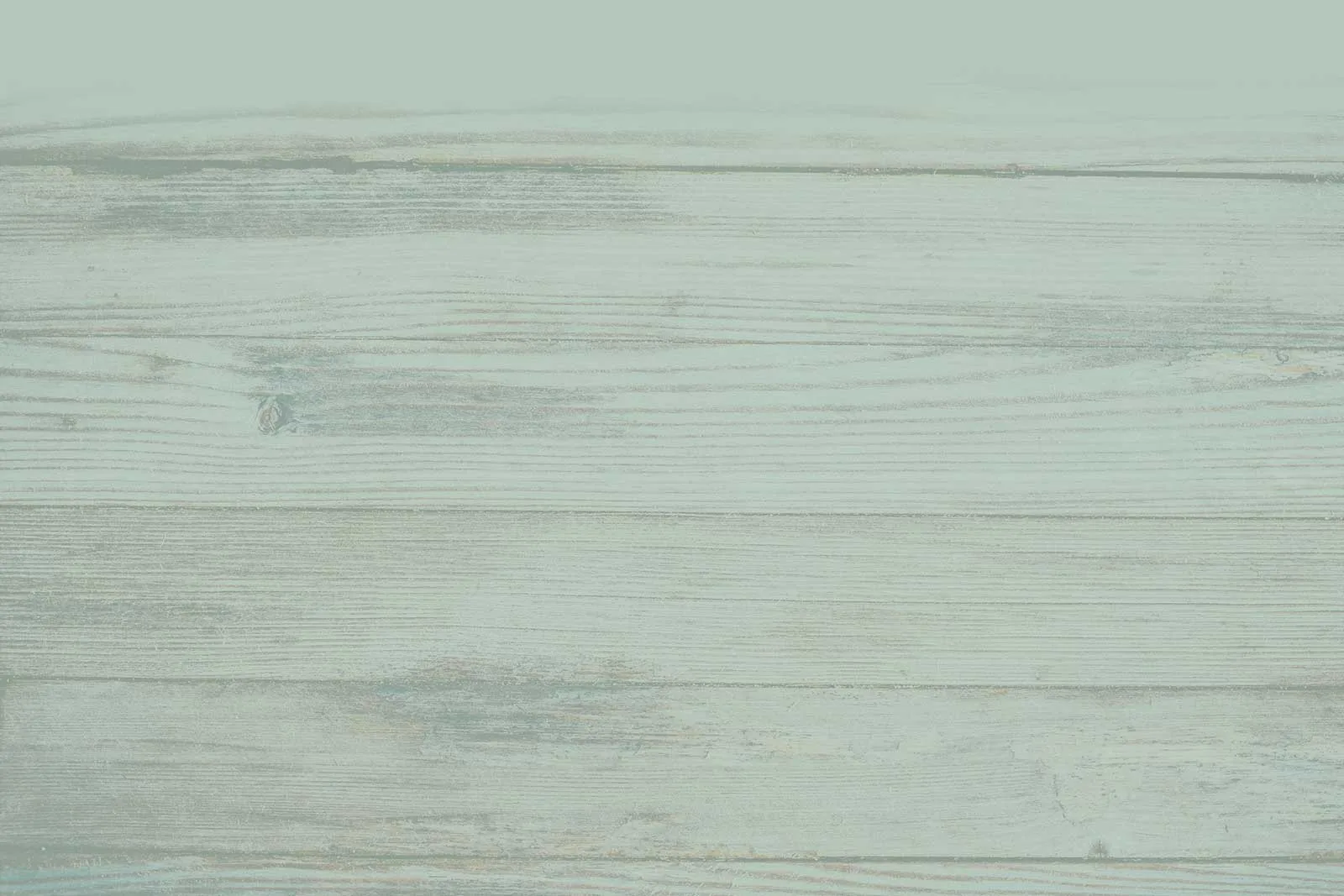 Vista Verde Ranch — 4