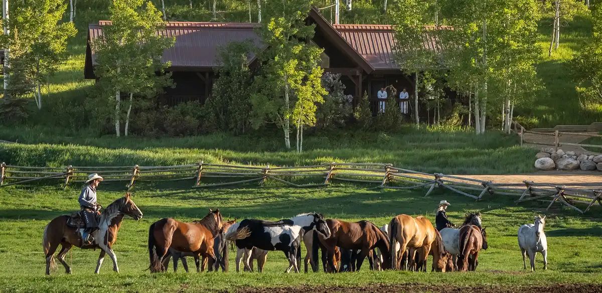 vista-verde-luxury-resort-ranch-horse-riding-22
