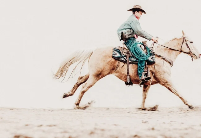 Cowboy on a horse