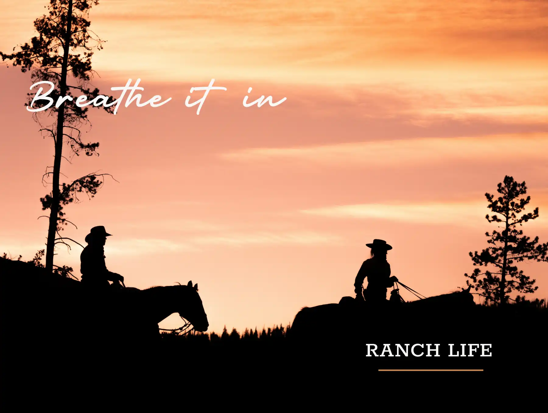 Vista Verde Ranch, Autumn, Fall Colorado Vacation