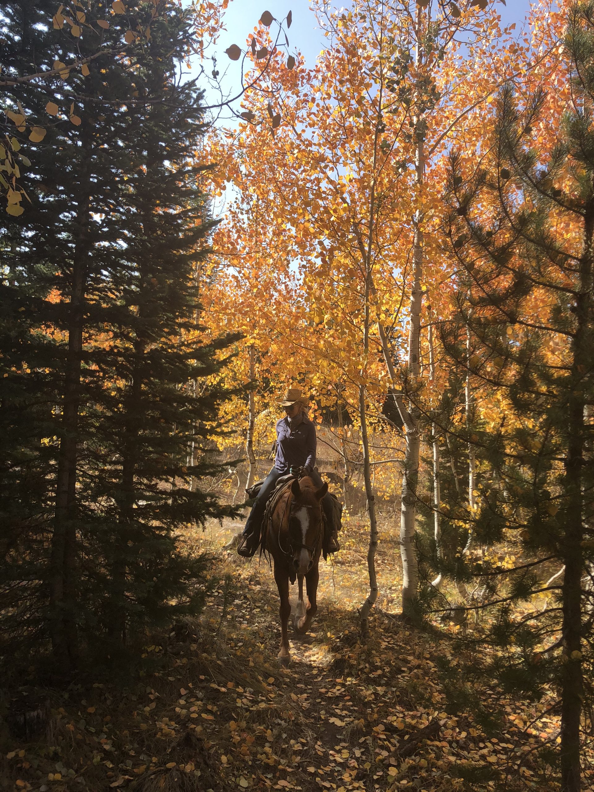 All Inclusive Rates Luxury Ranch Colorado Autumn Fall