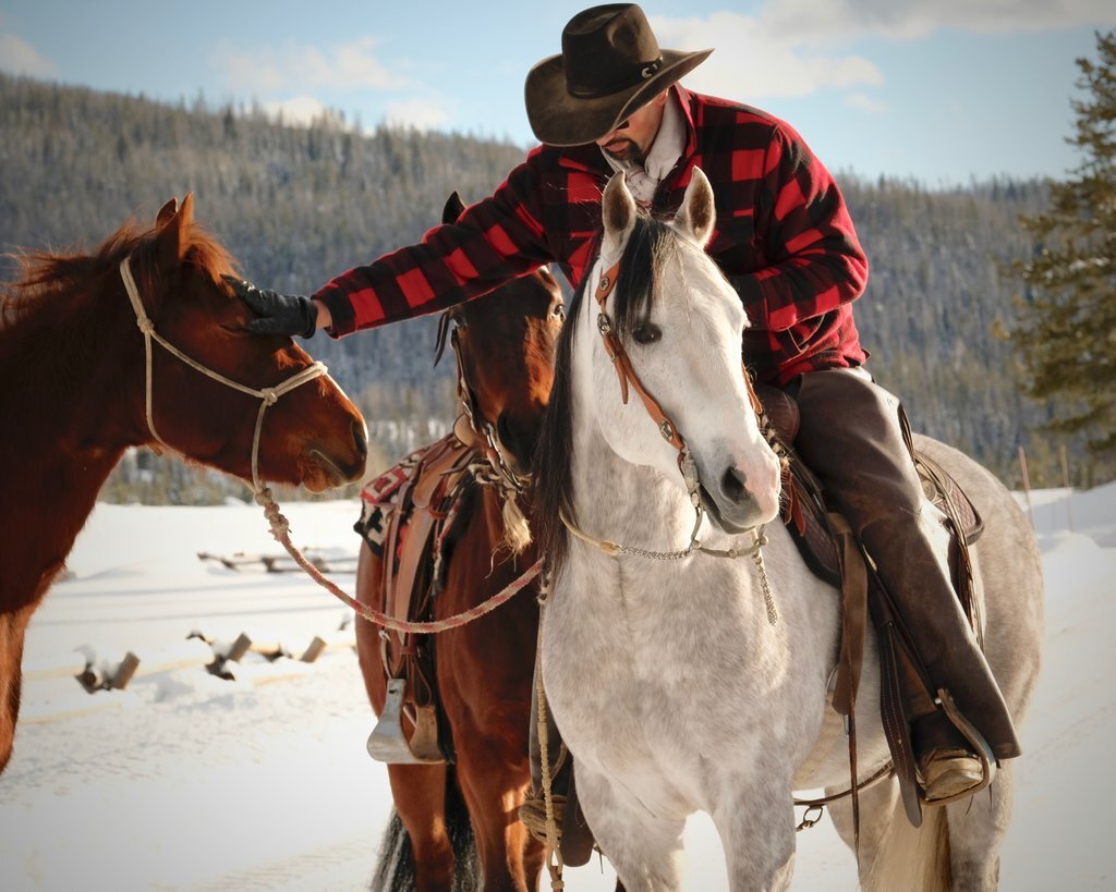 gigiembrechts-26 (2) man on horseback