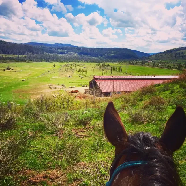The landing features gorgeous views overlooking the ranch