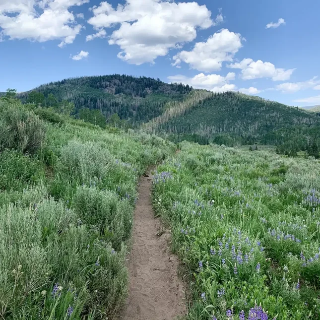 The landing features gorgeous views overlooking the ranch