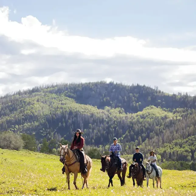 The landing features gorgeous views overlooking the ranch