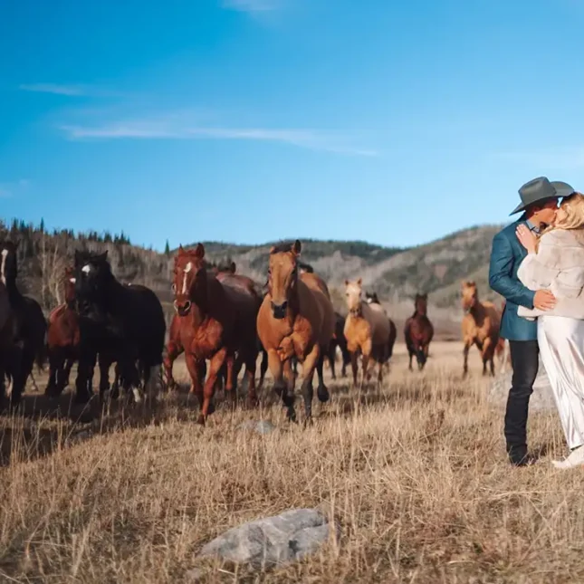 The Homestead Cabin founded in 1911