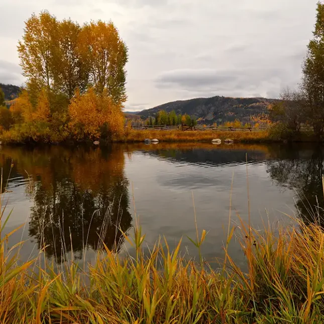 The pond sits beside the outdoor patio to our main lodge at the center of the ranch
