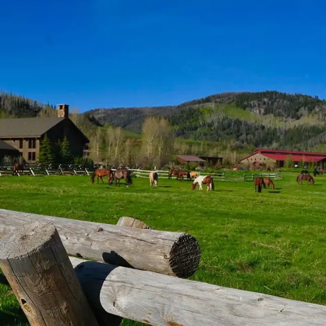 Gorgeous pasture directly in front of our main lodge