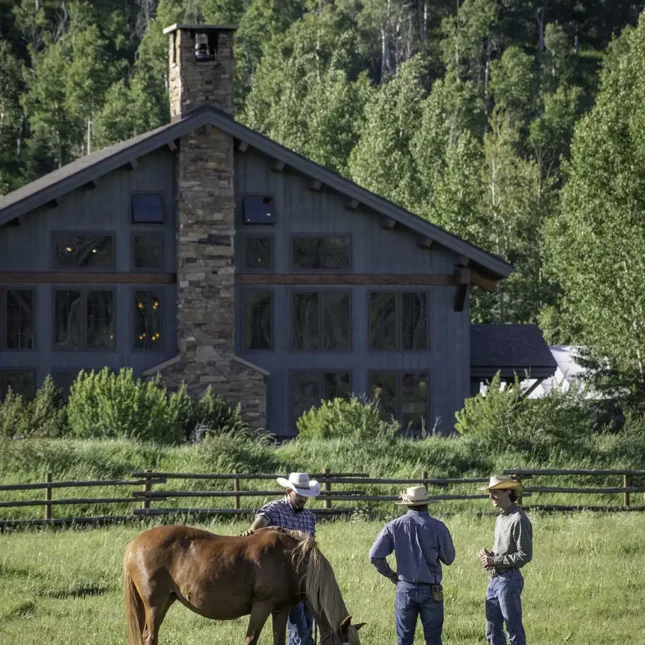 Gorgeous pasture directly in front of our main lodge