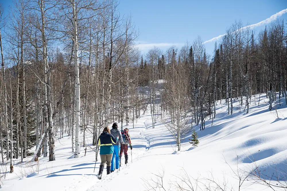 Family Vacations at Vista Verde Resort and Ranch in Colorado, Winter Vacation and Activities