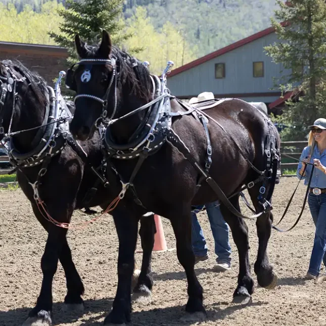 Family Reunions, Summer Family Vacations at Vista Verde Luxury Resort Ranch in Colorado, Dude Ranch, Trail Rides