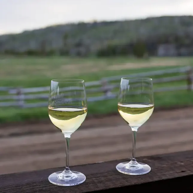 Vista Verde Ranch Colorado Luxury Resort Ranch Food Wine Tastings