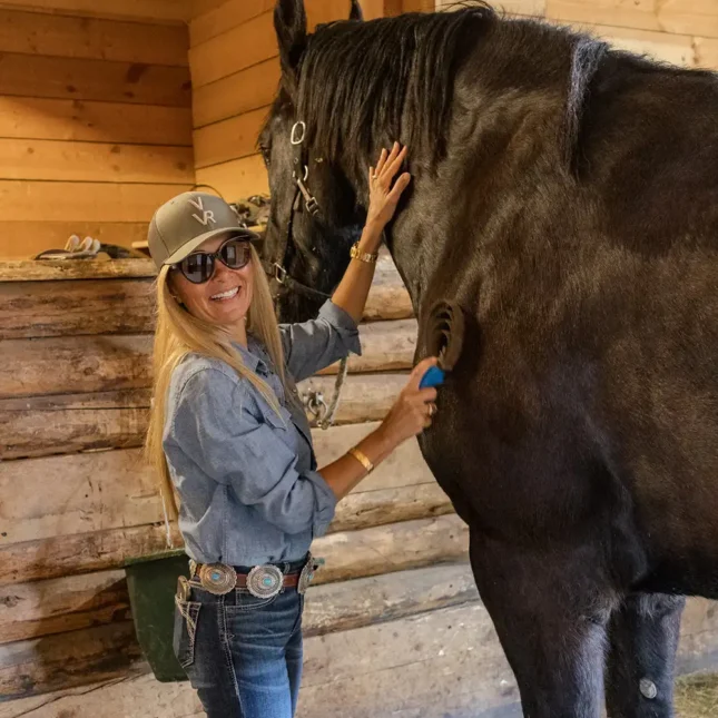 Vista Verde Guest Ranch Colorado Horsemanship Draft Horse Clinic