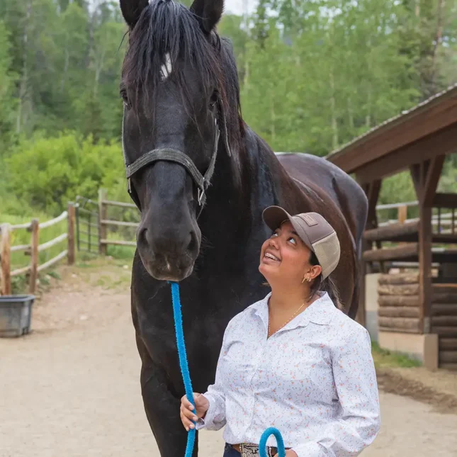 Vista Verde Guest Ranch Colorado Horsemanship Draft Horse Clinic