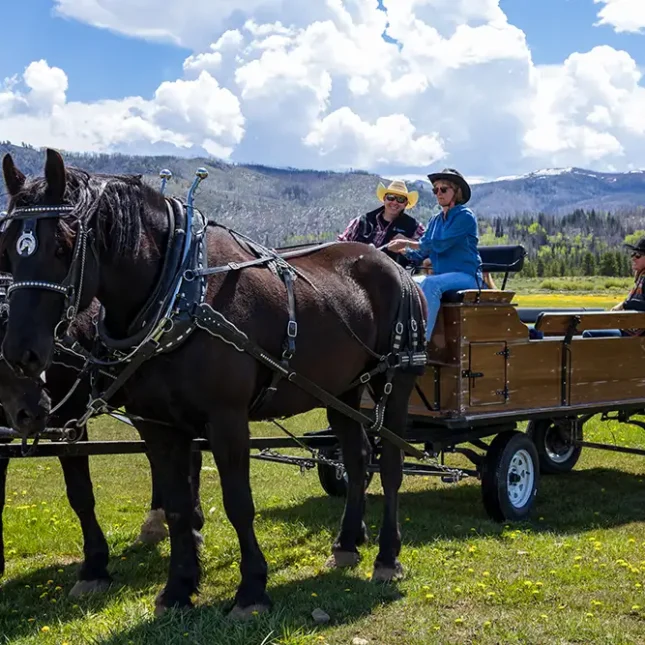 Vista Verde Guest Ranch Colorado Horsemanship Draft Horse Clinic