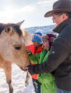 grandpa and grandkids meeting a horse