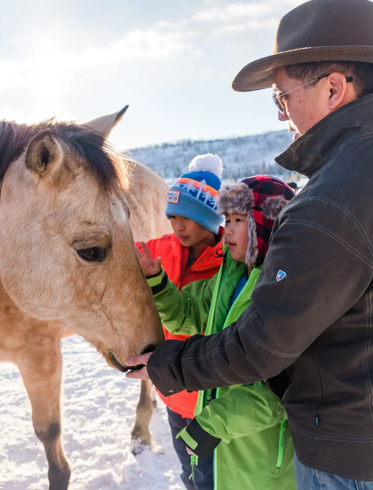 grandpa and grandkids meeting a horse